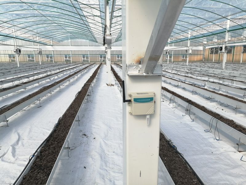 智慧农业水肥一体化技术面临的挑战和解决方案