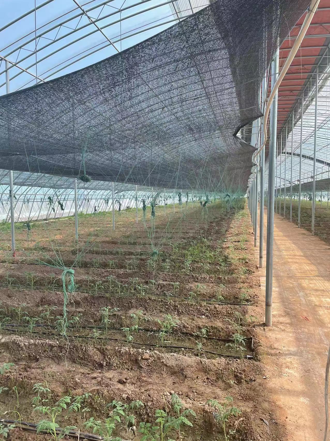 智慧农业水肥一体化的优势